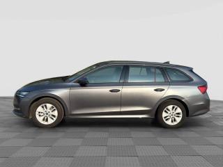 SKODA Octavia usata 1