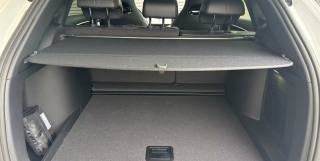 BYD Seal usata, con Servosterzo