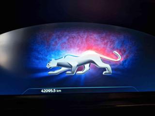 FORD Puma usata, con Climatizzatore