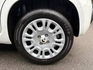 FIAT Panda usata, con USB