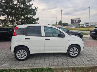 FIAT Panda usata, con Autoradio
