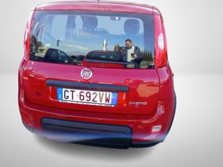 FIAT Panda usata, con Antifurto