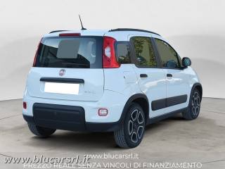 FIAT Panda usata 4