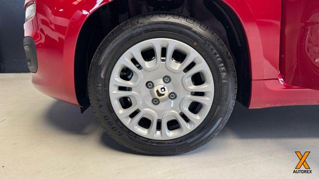 FIAT Panda usata 15
