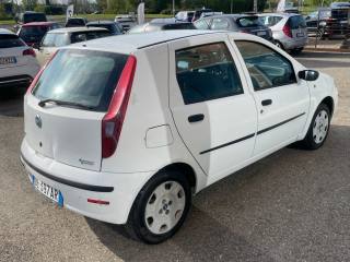 FIAT Punto usata 10