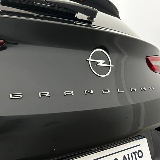 OPEL Grandland usata, con MP3