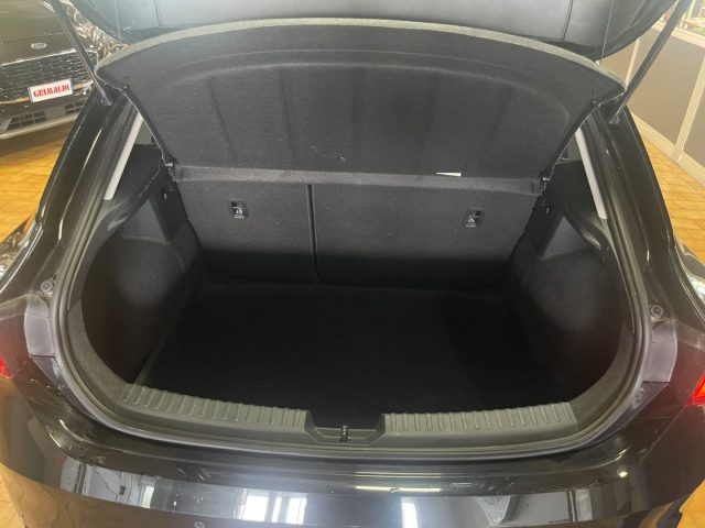 SEAT Leon usata, con Climatizzatore