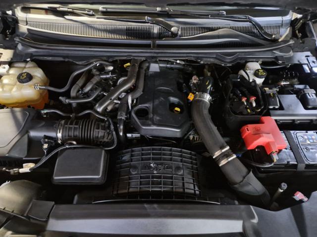 FORD Ranger Raptor usata, con Cruise Control