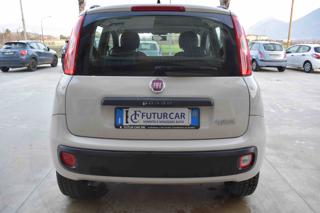 FIAT Panda usata 13