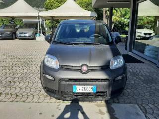 FIAT Panda usata, con Climatizzatore