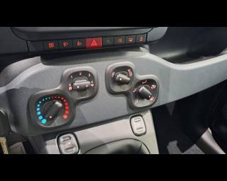 FIAT Panda usata, con Volante multifunzione