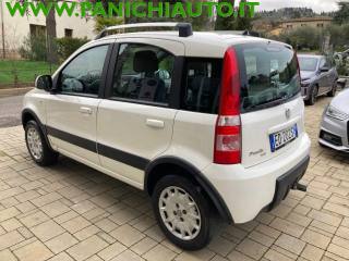 FIAT Panda usata, con Trazione integrale