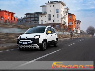 FIAT Panda usata, con Climatizzatore