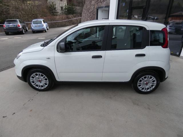 FIAT Panda usata, con Chiusura centralizzata