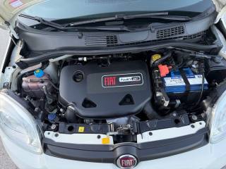 FIAT Panda usata, con Ruotino