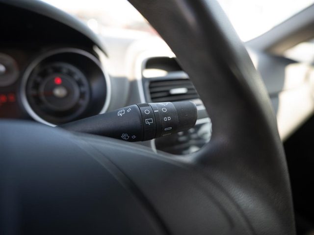 FIAT Punto usata 18