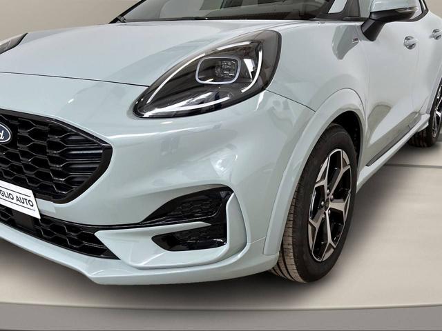 FORD Puma usata, con Bracciolo