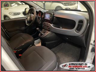 FIAT Panda Cross usata, con Chiusura centralizzata