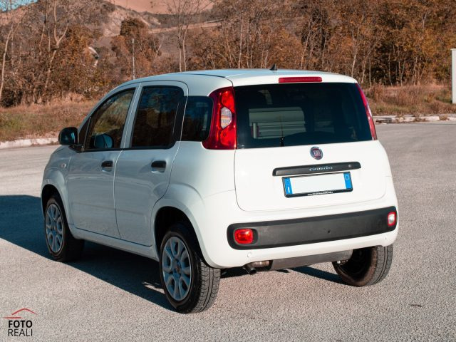 FIAT Panda usata, con Airbag Passeggero