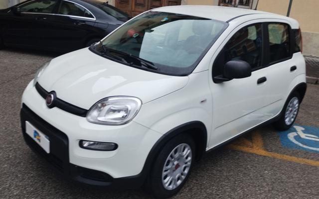 FIAT Panda usata, con Fendinebbia