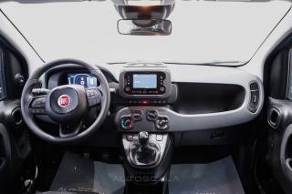 FIAT Panda usata 22