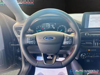 FORD Focus usata, con Cruise Control