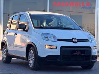 FIAT Panda usata, con Airbag