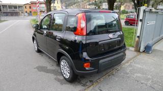 FIAT Panda usata, con Controllo trazione