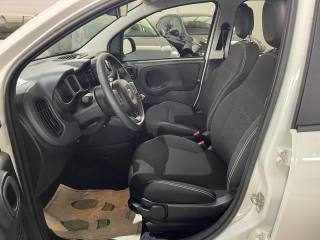 FIAT Panda usata, con Climatizzatore