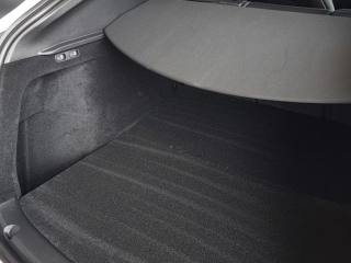 TESLA Model Y usata, con Cruise Control