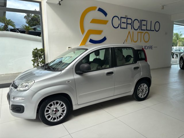 FIAT Panda usata, con Airbag Passeggero