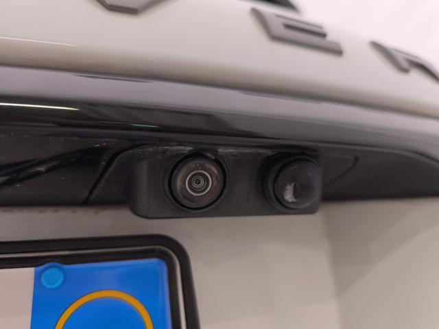 LAND ROVER Range Rover Sport usata, con Portellone posteriore elettrico
