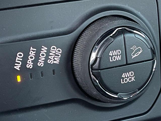 JEEP Renegade usata, con Climatizzatore