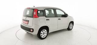 FIAT Panda usata 18