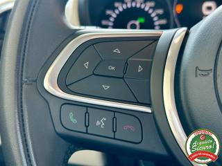 FIAT 500L usata, con Servosterzo