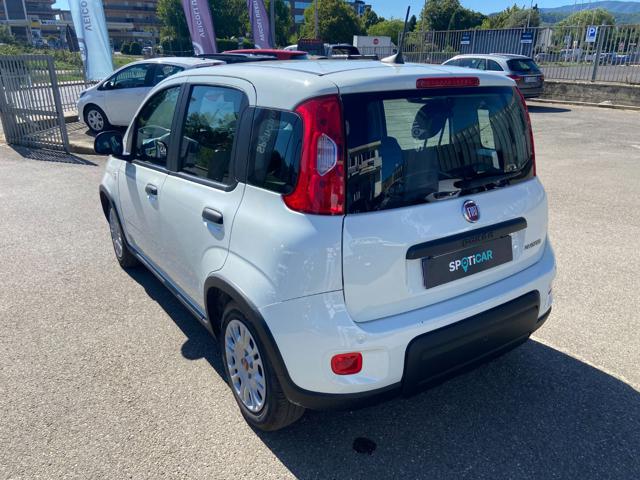 FIAT Panda usata 19