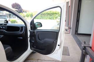 FIAT Panda usata 66