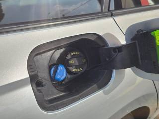 SKODA Octavia usata 116