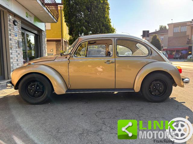 VOLKSWAGEN Maggiolone usata 3