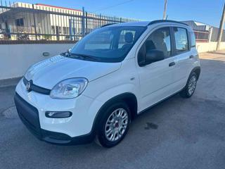 FIAT Panda usata, con Alzacristalli elettrici