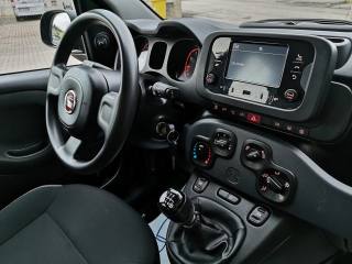 FIAT Panda usata 14