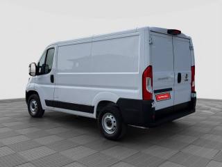 FIAT Ducato usata 3