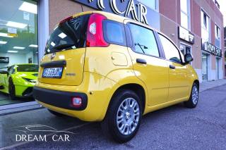 FIAT Panda usata, con Antifurto