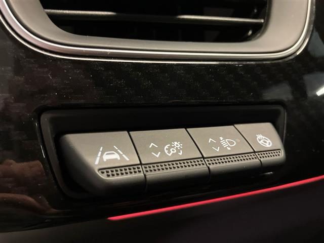 RENAULT Arkana usata 28