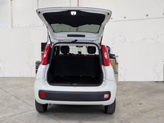 FIAT Panda usata, con Cronologia tagliandi