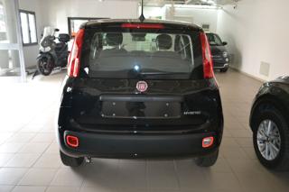 FIAT Panda usata, con Alzacristalli elettrici