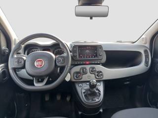 FIAT Panda usata 11
