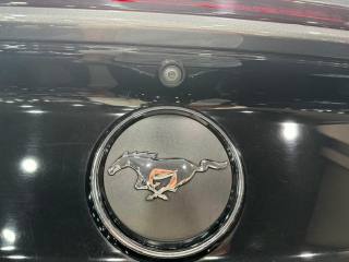 FORD Mustang usata, con Fendinebbia
