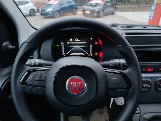 FIAT Panda usata, con Fendinebbia