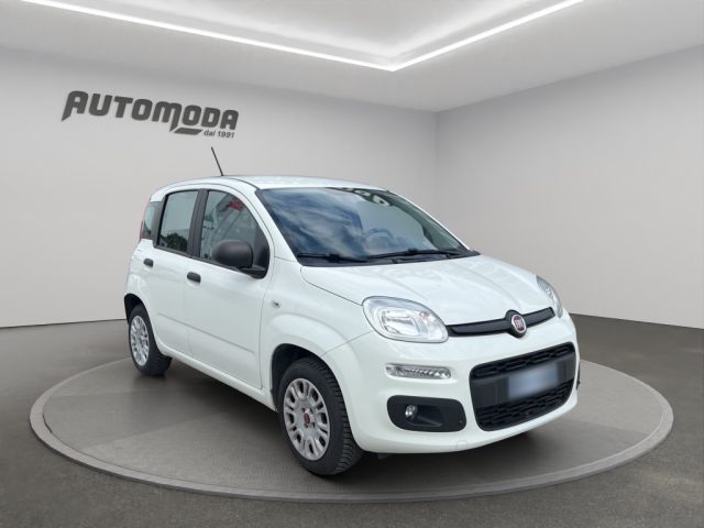 FIAT Panda usata 2